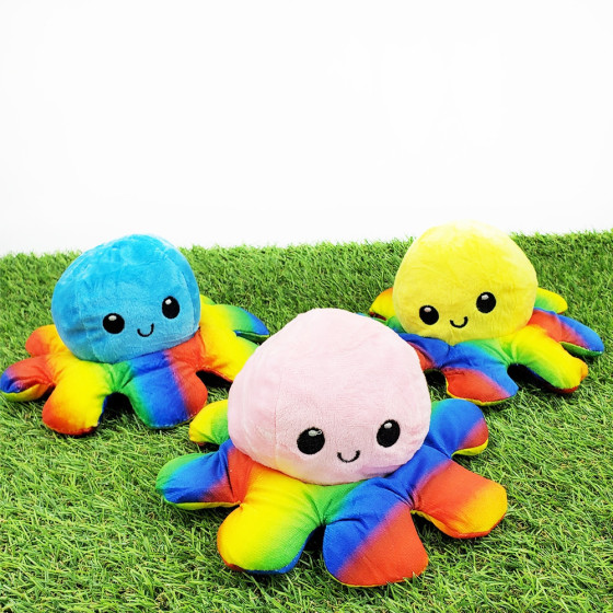 Dvipusis aštuonkojis (Octopus-Rainbow)