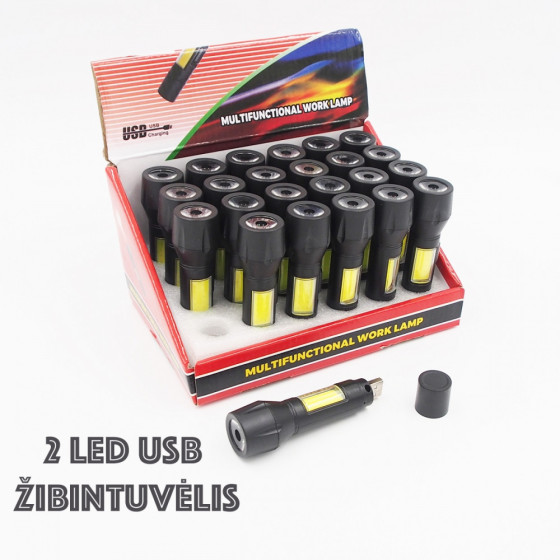 Prožektorius (USB-2LED)